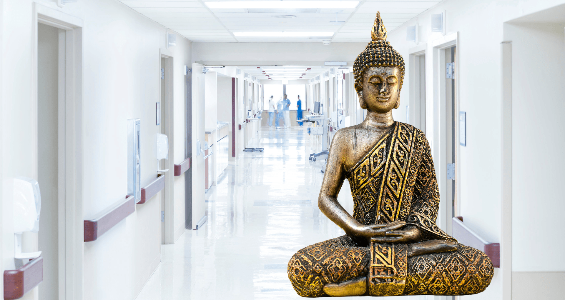 About Dhamma Institute of Medical Sciences